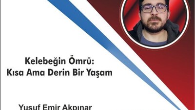 Kelebeğin Ömrü: Kısa Ama Derin Bir Yaşam
