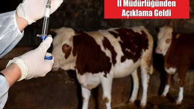 Balıkesir’de Şap Alarmında Son Durum!