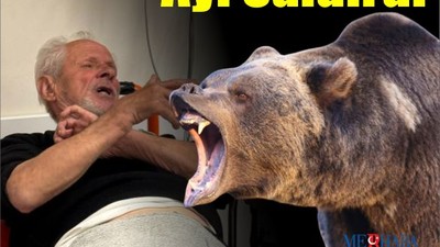 Zeytinlikte Ayı Dehşeti
