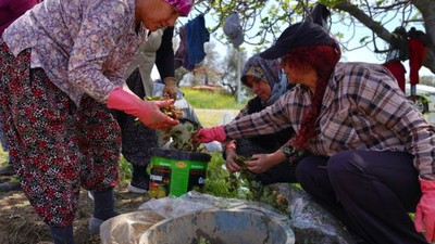 Ayvalık’ta Çilekten Reçele Uzanan Yolculuk