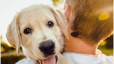 Balıkesir'de Veterinerlerin Önemi Artıyor