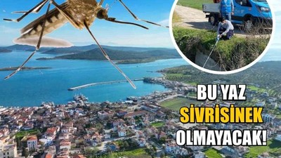 Sivrisineksiz yaz için Büyükşehir seferber