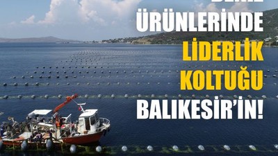 Balıkesir, Midye Üretiminde Türkiye’nin Lideri