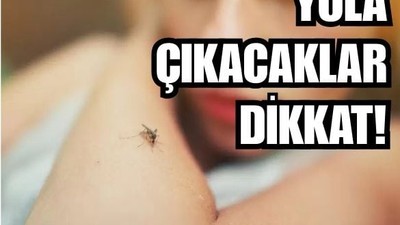 Seyahatlere Gelen Tehlikeye Dikkat!