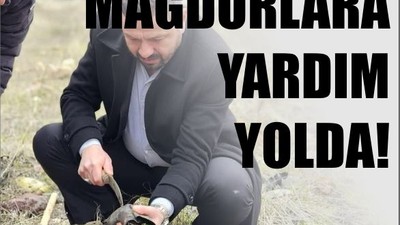 Zirai Don Sonrası AK Parti'den Çiftçiye Destek