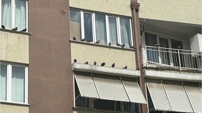 Balıkesir'in Pencere Nöbetçileri