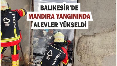 Mandıra Yangını Paniğe Neden Oldu!