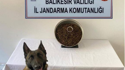 Jandarma 1 Haftada 29 Suçun Peşine Düştü