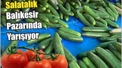 Domatesle Salatalık Balıkesir Pazarında Yarışıyor