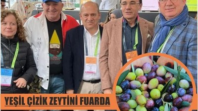Edremit Yeşil Çizik Zeytini Fuarda Tanıtıldı