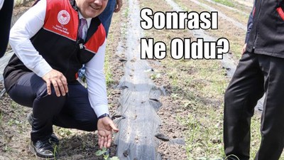 Balıkesir’de Zirai Don Sonrası İlk Değerlendirme
