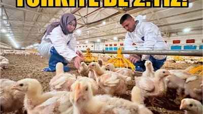 Balıkesir, Kanatlı Hayvan Sayısında Türkiye 2.si