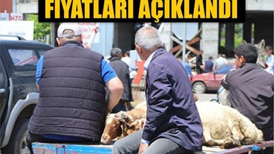 2025 Kurbanlık Fiyatları Açıklandı: Balıkesir’de Şaşırtan Rakamlar