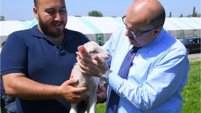 Vali Ustaoğlu’ndan Kepsut’a Balıkesir Kuzusu İncelemesi