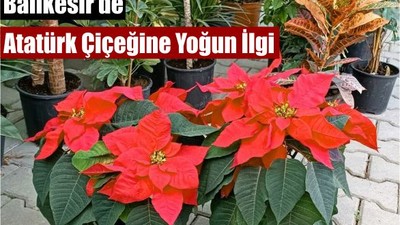 Balıkesir'de Adını Ata’dan Alan Çiçek Gözde