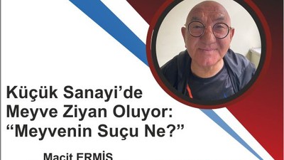 Küçük Sanayi’de Meyve Ziyan Oluyor: “Meyvenin Suçu Ne?”