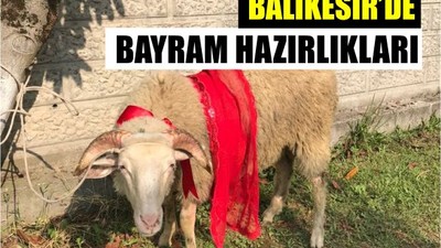 Balıkesir'de Kurban Bayramı Hazırlığı Başladı