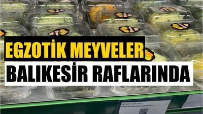 Balıkesirliler Farklı Meyve Arayışında