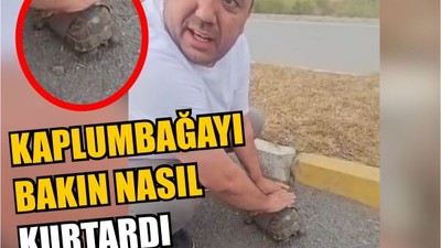 Küçük Adımların Büyük Şansı