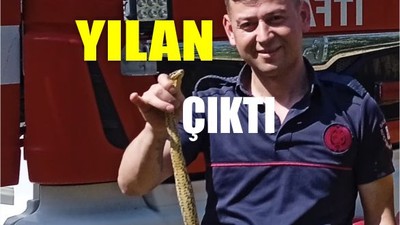 Edremit’te Tırın İçinden Yılan Çıktı!