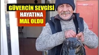 Güvercin Sevgisi Hayatına Mal Oldu