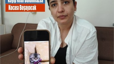 Kayıp Kedi Bulunmazsa Kocası Boşayacak