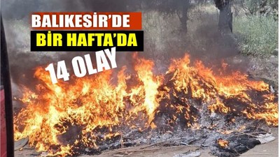 Balıkesir'de Yangın Alarmı: Bir Haftada 14 Olay!