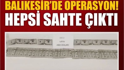 Operasyonda Göze Amerikan Doları Çarptı!