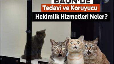 BAÜN Hayvan Hastanesinde Ne Hizmetleri Var?