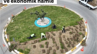 Büyükşehir Belediyesi ürettiği çimleri kullanıyor