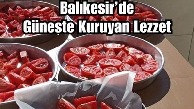 Balıkesir'de Domates Nasıl Kurutulur?
