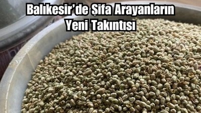 Balıkesir’de Herkes Bu Otun Peşinde!