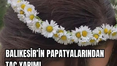 Balıkesir'de Papatya Nereden Toplanır? Taç Nasıl Yapılır?