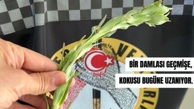 Balıkesir’in En Ünlü Kolonyası Filizlendi
