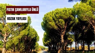 Yazın Sıcaktan Kaçış Noktası: Kozak Yaylası