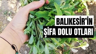 Balıkesir'in Pazarlarından Ege Otları