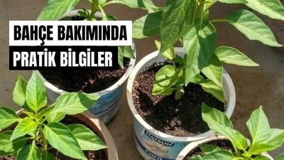 Balıkesir'de Mayıs Ayı Bahçe Bakımı