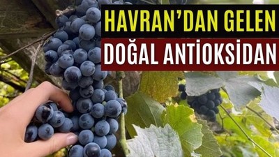 Bu Şifanın Kaynağı Havran'ın Verimli Toprakları!