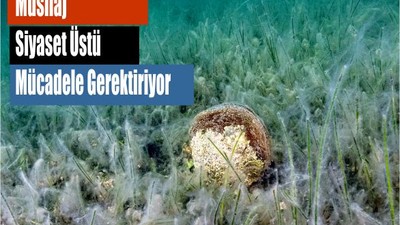 Müsilaj Siyaset Üstü Mücadele Gerektiriyor