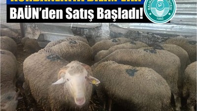 Kurbanlıkta Bilim Var: BAÜN’den Satış Başladı!