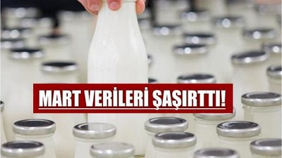 Süt Üretiminde Neler Oluyor?