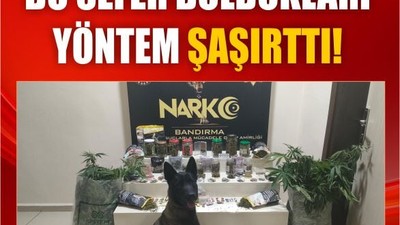 Bandırma’da Zehir Serası! Bakın Ne Yaptılar
