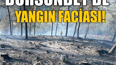 Dursunbey’de Yangın Faciası: Ağaçlar Kül Oldu