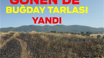 Gönen’de Buğday Tarlası Yandı 50 Dönüm Alan Zarar Gördü