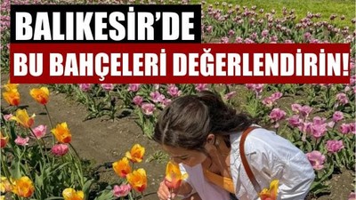 Balıkesir'de Çiçek Toplamak İçin En Güzel Noktalar