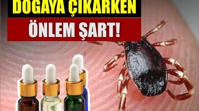 Bu Doğal Yağlar Keneleri Uzak Tutuyor