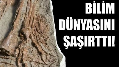 Bilim Tarihinde Bir İlk! 70 Yıllık Tümör