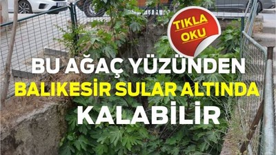 Bir İncir Ağacı Yüzünden Balıkesir Sular Altında Kalabilir!