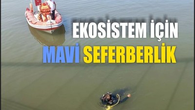 Marmara Denizi’nde Ekosistem İçin Harekete Geçildi
