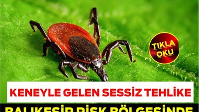 Keneyle Gelen Sessiz Tehlike: Balıkesir Risk Bölgesinde